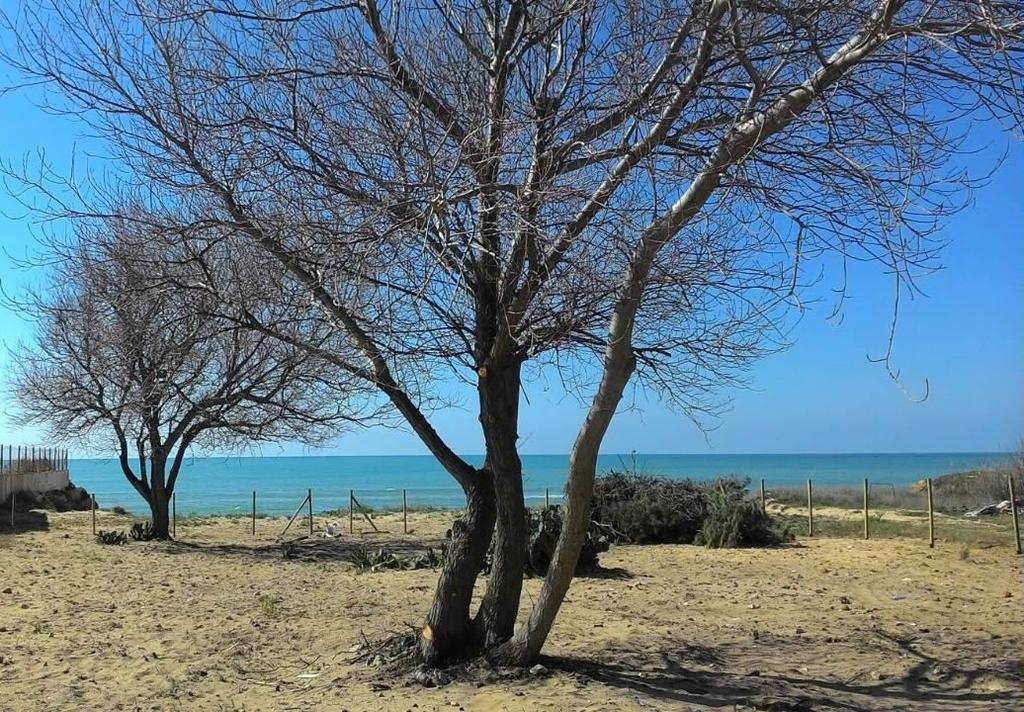 Holiday Menfi | Casale Abate Exterior foto